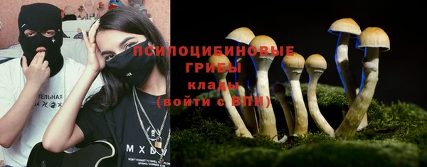 герыч Елабуга
