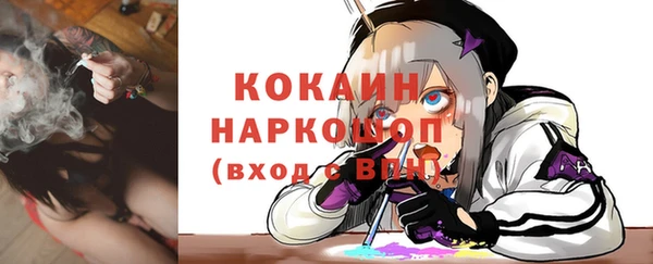 МДПВ Елизово