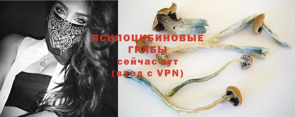 МДПВ Елизово
