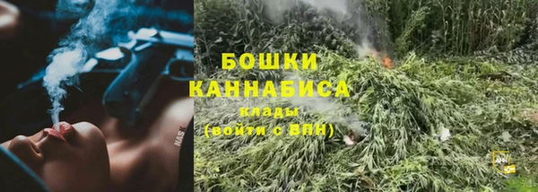 мескалин Ельня