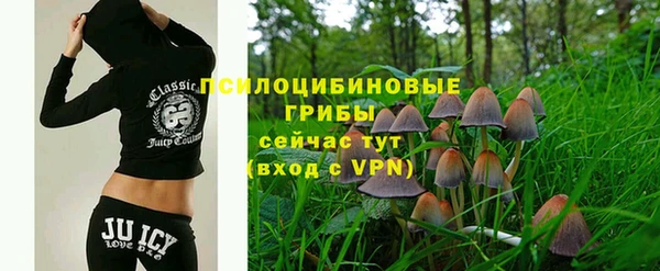 МДПВ Елизово
