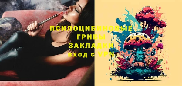 мескалин Ельня